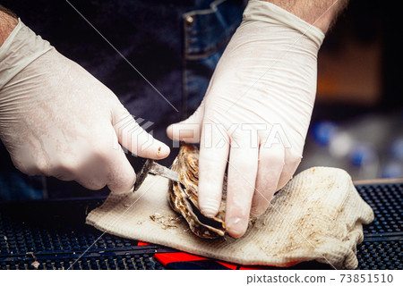Chef in white gloves shucking a fresh oyster with knife. Chef in white gloves shucking a fresh oyster with knife. 73851510