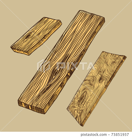 Wood or Piece of Tree. Plank and log, lumber and Cut, Firewood in vintage style. Vector illusion for 73851937