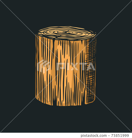 Wood or stump. Piece of Tree. Plank and log, lumber and Cut, Firewood in vintage style. Vector 73851999