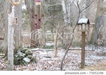 Bird watching_Chitose 73852296