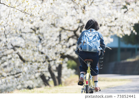 A young woman riding a bicycle through a row of cherry blossom trees A young woman riding a bicycle through a row of cherry blossom trees 73852441