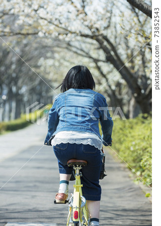 A young woman riding a bicycle through a row of cherry blossom trees 73852543