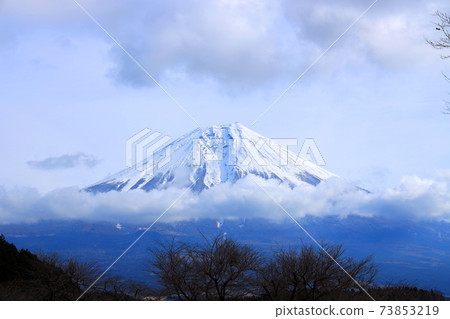 Mt. Fuji (World Heritage) in 2021 seen from Lake Tanuki in Fujinomiya City, Shizuoka Prefecture, winter, snowy mountains, the best in Japan [January] 73853219