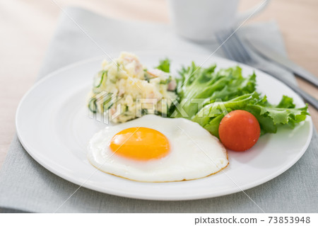 Fried egg Fried egg 73853948