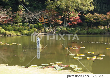 大分縣別府市地獄之海遊覽地獄大惡魔蓮花-照片素材（圖片） [73854469 