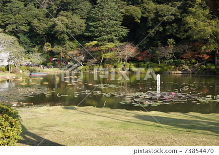 Beppu City, Oita Prefecture Hell Tour Sea Hell's Tropical Water Lilies 73854470