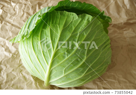 Whole cabbage 73855042