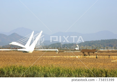Autumn scenery, reed field 73855399