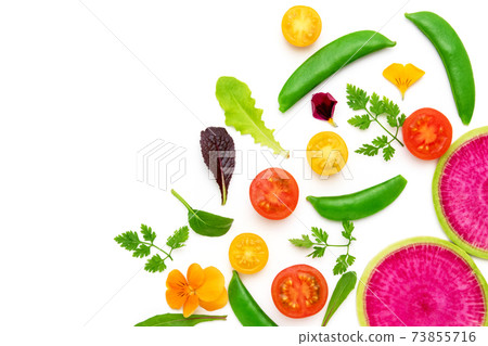 Vegetable frame 73855716