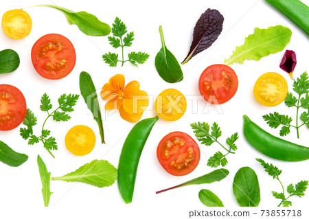 Vegetable frame Vegetable frame 73855718