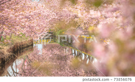 三重縣Ka松川津櫻路 73856076