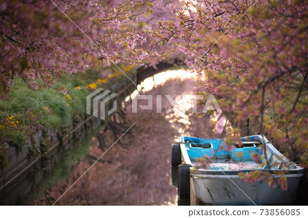 三重縣Ka松川津櫻路 73856085