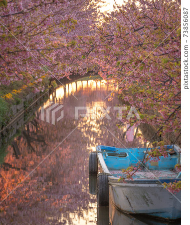 三重縣Ka松川津櫻路 73856087