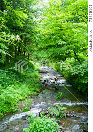 Karuizawa of that day 73856191