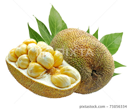 Jackfruit isolated on white background Jackfruit isolated on white background 73856334