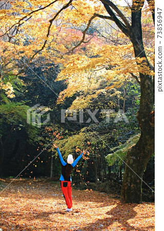 秋天風景，秋天旅行 73856947