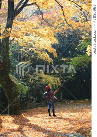 秋天風景，秋天旅行 73856969