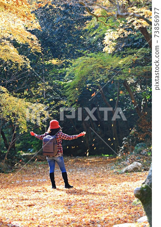 Autumn scenery, autumn trip Autumn scenery, autumn trip 73856977