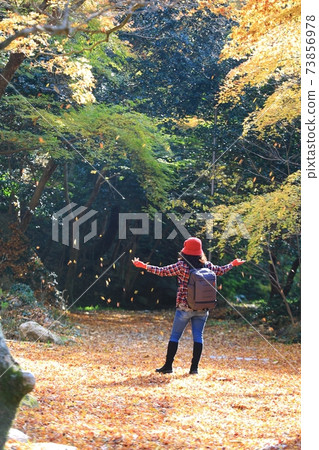 秋天風景,秋天旅行 秋天風景,秋天旅行 73856978