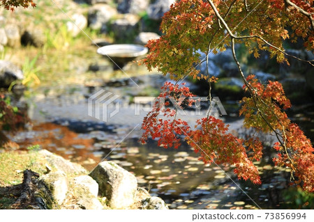 秋天風景,秋天旅行 秋天風景,秋天旅行 73856994