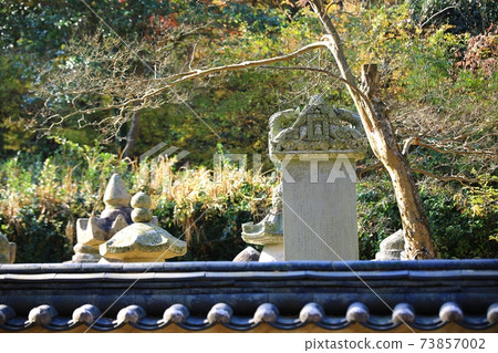 秋天風景,秋天旅行 秋天風景,秋天旅行 73857002