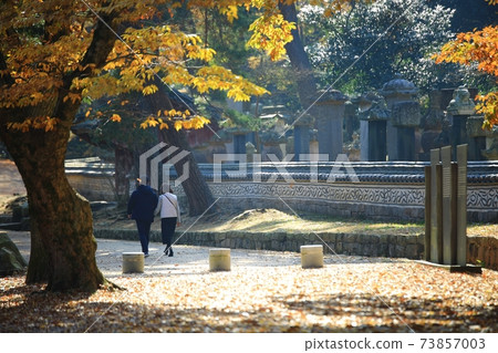 Autumn scenery, autumn trip Autumn scenery, autumn trip 73857003