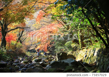 Autumn scenery, autumn trip Autumn scenery, autumn trip 73857029