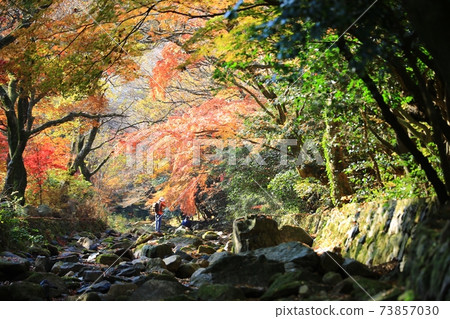 Autumn scenery, autumn trip 73857030