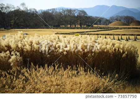 秋季旅行,古蹟 秋季旅行,古蹟 73857750