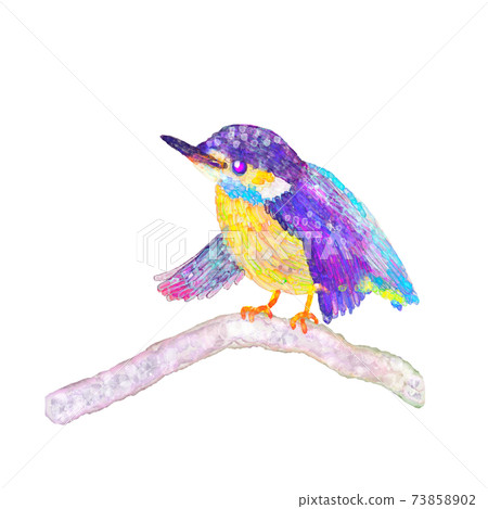 翠鳥在樹枝上休息，曬日光浴 73858902