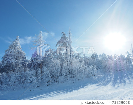 Clear sky of ice Clear sky of ice 73859068