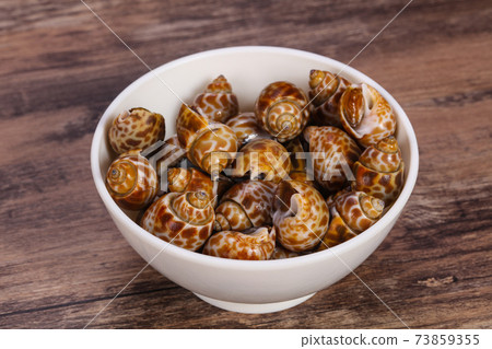 Tasty mollusk - spotted Babylon in the bowl Tasty mollusk - spotted Babylon in the bowl 73859355