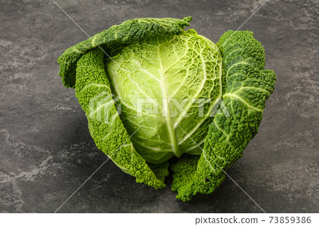 Organic Savoy Cabbage for cooking 73859386