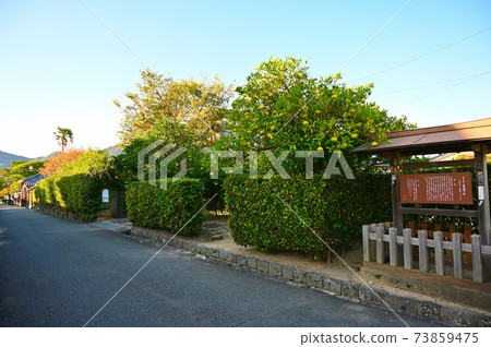 gi國家指定歷史遺址gi城城Castle市 73859475