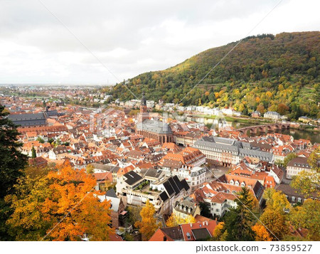 Heidelberg Castle and Old Town 73859527