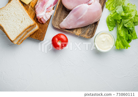 Fresh ingredients for tasty sandwich, on white background with copy space for text Fresh ingredients for tasty sandwich, on white background with copy space for text 73860111