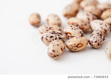 中長斑豆 73860654