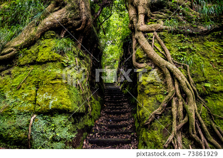 Senzu, a mysterious spot on Oshima Island in the Izu seven islands 73861929