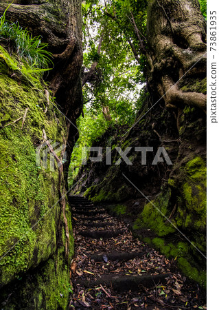 Senzu, a mysterious spot on Oshima Island in the Izu seven islands Senzu, a mysterious spot on Oshima Island in the Izu seven islands 73861935