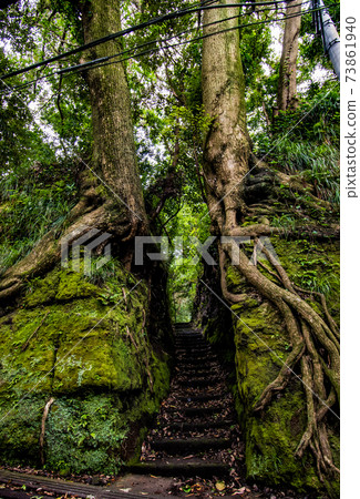 Senzu, a mysterious spot on Oshima Island in the Izu seven islands Senzu, a mysterious spot on Oshima Island in the Izu seven islands 73861940