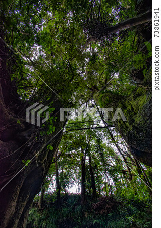 Senzu, a mysterious spot on Oshima Island in the Izu seven islands Senzu, a mysterious spot on Oshima Island in the Izu seven islands 73861941
