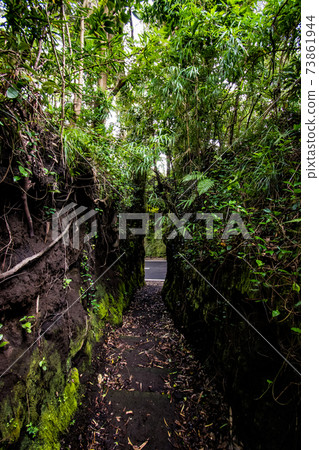 Senzu, a mysterious spot on Oshima Island in the Izu seven islands Senzu, a mysterious spot on Oshima Island in the Izu seven islands 73861944