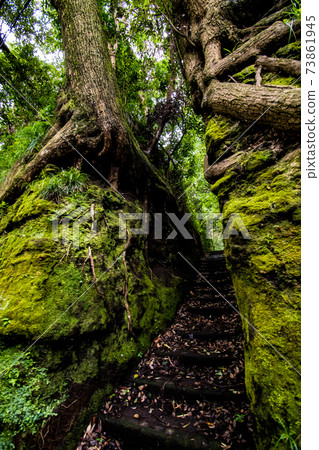 Senzu, a mysterious spot on Oshima Island in the Izu seven islands Senzu, a mysterious spot on Oshima Island in the Izu seven islands 73861945
