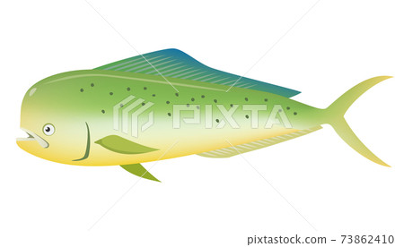 Image illustration of dolphin fish (sea creature) 73862410