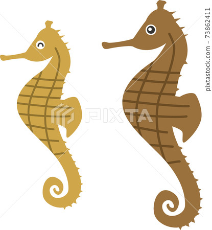 海馬(父母和孩子)的圖像插圖 海馬(父母和孩子)的圖像插圖 73862411