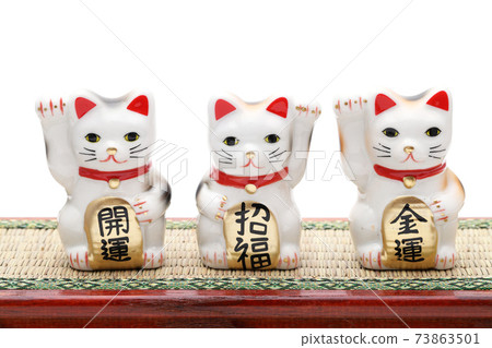 Lucky Cat 73863501
