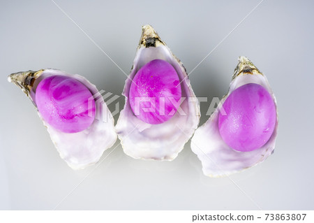 Oyster shells with pink easter colored eggs isolated on a grey background. Oyster shells with pink easter colored eggs isolated on a grey background. 73863807