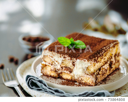 Tiramisu cake with mint, copy space 73864808
