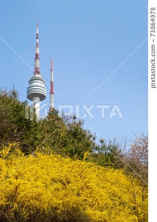 Namsan's Spring 73864978