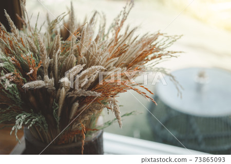 Plants or dry grass in pots are placed on the table to the sunlight. 73865093